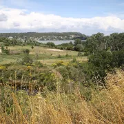 Eco-balade sur la flore du parc de l\'Olivier