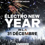 Electro New Year