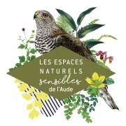 Ens - Citadelle Du Vertige : Point De Vue Sur Les Grands Rapaces