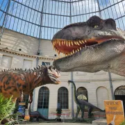 Expo découverte - L'Histoire des Dinosaures - Limoges