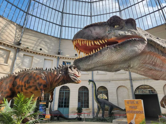 Expo découverte - L'Histoire des Dinosaures - Limoges