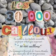 Exposition 30000 cailloux