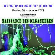 Exposition