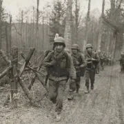 Exposition : Anniversaire De La Libération