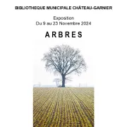 Exposition : Arbres