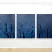 Exposition - bleu - Le bleu dans la nature