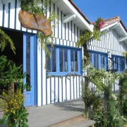 Exposition Cabane Bleue : Ensemble Instrumental du Bassin