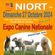 Exposition canine nationale à Niort