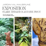 Exposition : Claire Tingaud et Antoine Picot