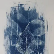 Exposition - Cyanotype