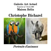 Exposition De Christophe Bicharel