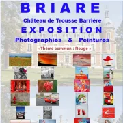 Exposition de Peinture et de Photos par Briare Déclic et le CSC Dessin/Peinture