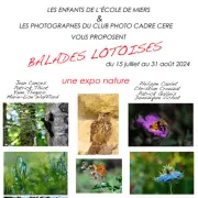 Exposition de peintures «Balades lotoises»