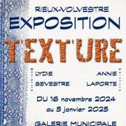 Exposition De Peintures Et Céramiques : Texture