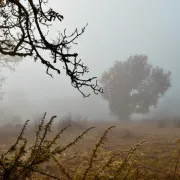 Exposition de photographies en miroir « Hier et aujourd’hui »