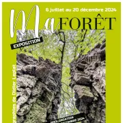 Exposition de photographies - Ma forêt