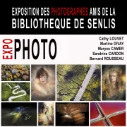 Exposition de photos à Senlis