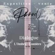 Exposition - Dialogue entre l\'Ombre et la Lumière