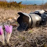 Exposition du concours photo « Objectif Saint-Martin »