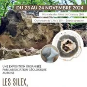 Exposition géologique : “Les Silex” à la salle des fêtes de Crancey