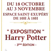 Exposition Harry Potter