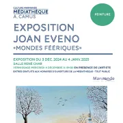 Exposition Joan Evano Mondes Féeriques - Médiathèque A. Camus