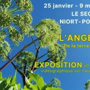 Exposition l'Angélique, de la terre à l'assiette à Port Boinot à Niort