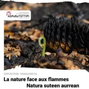 Exposition - La nature face aux flammes