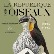 Exposition La République des oiseaux