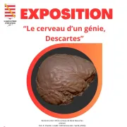 Exposition \