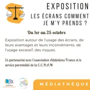 EXPOSITION LES ECRANS COMMENT JE M\'Y PRENDS - ANNEMIE GODERIS