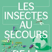 Exposition : Les Insectes au secours de la planète