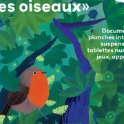 Exposition : Les Oiseaux