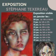 Exposition : Miroirs de l'Âme de Stéphane Texereau