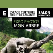 Exposition : Mon Arbre - Concours National de la Photographie