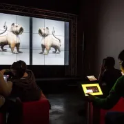 Exposition numérique : le riche partimoine du Centre - Val de Loire