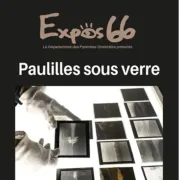 Exposition “paulilles Sous Verre”