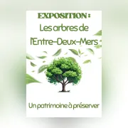 Exposition permanente : « Les arbres de l'Entre-deux-Mers, un patrimoine à préserver »