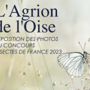 Exposition | Photo du concours  \