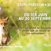 Exposition Photos Nature