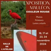 Exposition photos, peintures et loisirs créatifs