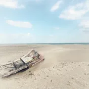 Exposition Plages De Camargue