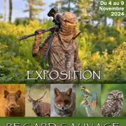 Exposition Regard Sauvage