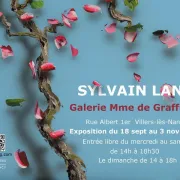 Exposition Sylvain Lang