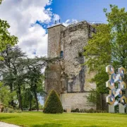 Exposition Vasarely au Château de Sancerre