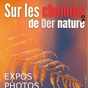 Expositions Sur les Chemins de Der Nature 2