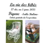 Expostion à Figeac : la vie des bébés