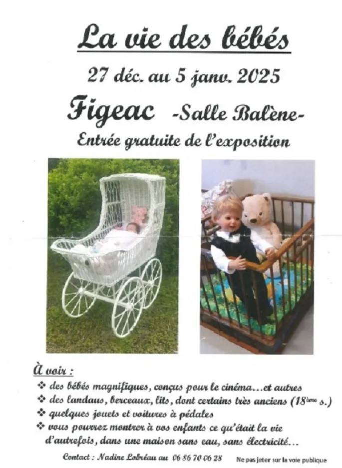 Expostion à Figeac : la vie des bébés