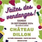 Faites des vendanges !