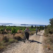 Fascinant Week-End - Balade E-Vtt Avec Hugo Et Degustation Au Château Fabre Cordon